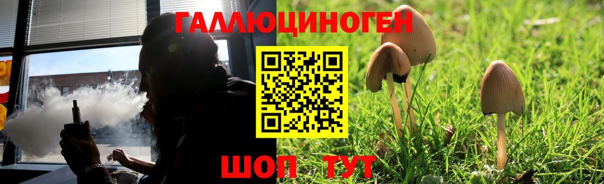Галлюциногенные грибы Psilocybe  Вход с VPN  Ноябрьск 